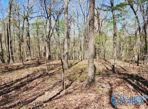 59 Acres Horse Cove Road, Gurley, AL 35748