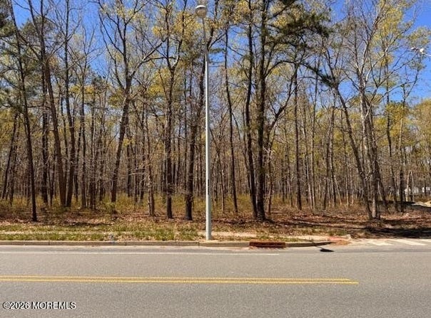 Newark Avenue, Forked River, NJ 08731