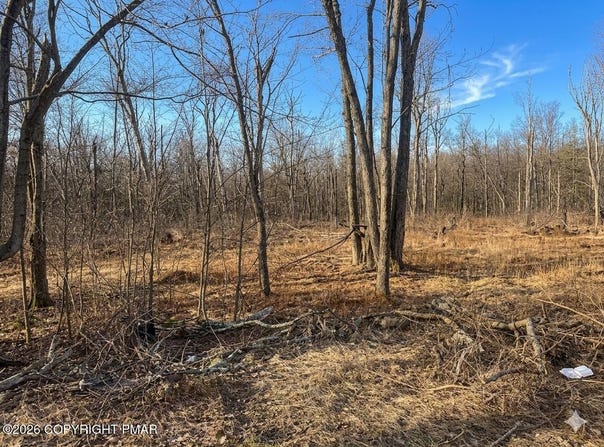 3350 Falstaff Drive, Tobyhanna, PA 18466