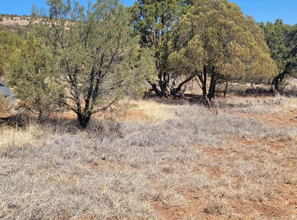 10 Mule Shoe Road, Hanover, NM 88041