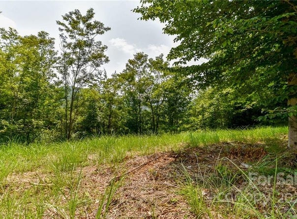 319 The Vines Boulevard unit: 21, Marshall, NC 28753