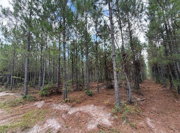 0 (lot 3) Corbitt Road, Manor, GA 31550