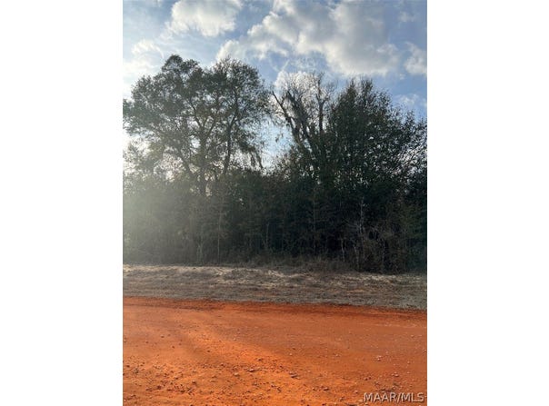 Deer Loop lot: 35, Camden, AL 36726
