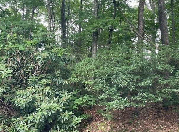 Tbd Dogwood Trail, Hillsville, VA 24343