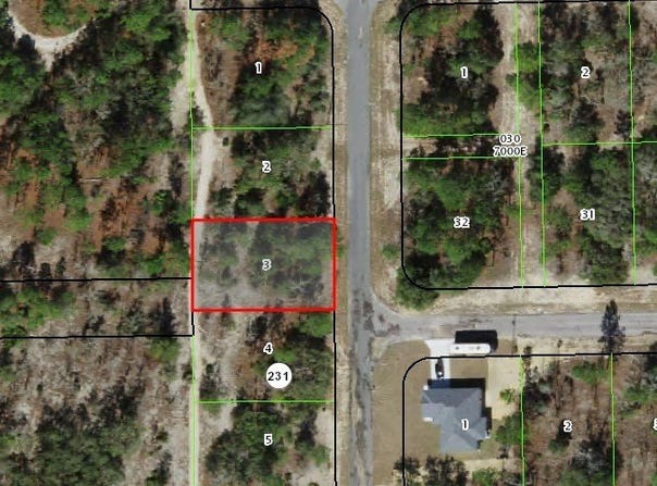 10346 N Spaulding Drive, Citrus Springs, FL 34433