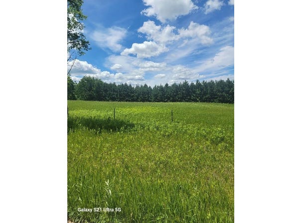 145th, Eagle Bend, MN 56446