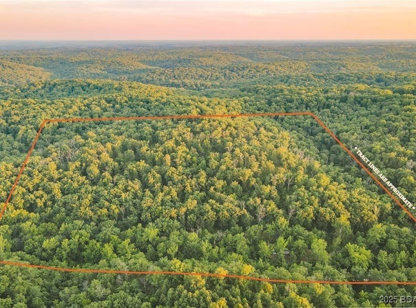37.42 Tbd Broads Branch Road, Macks Creek, MO 65786
