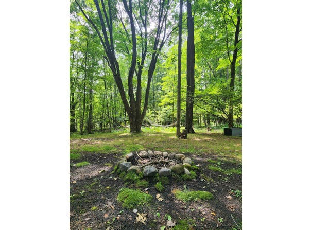 5462 Oak, Farwell, MI 48622