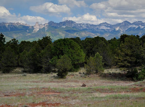 Tbd Ponderosa Drive, Ridgway, CO 81432