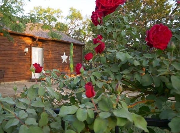101 Hide Away Drive, Possum Kingdom Lake, TX 76475