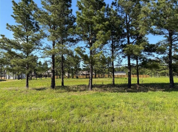 112 Faith Plantation Drive, Princeton, LA 71067