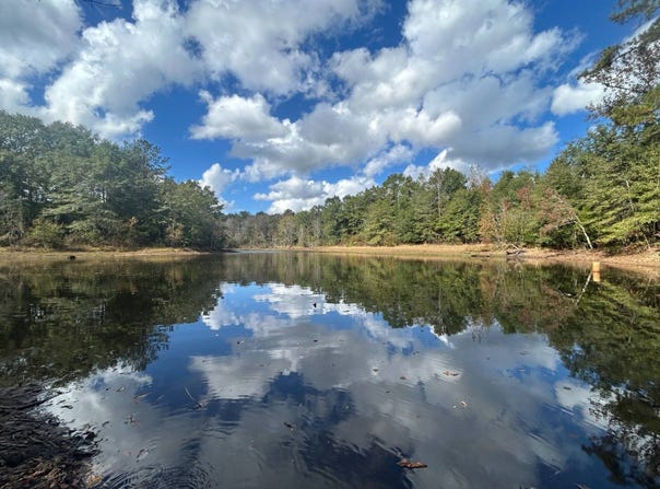 00 Highway 331, Luverne, AL 36049