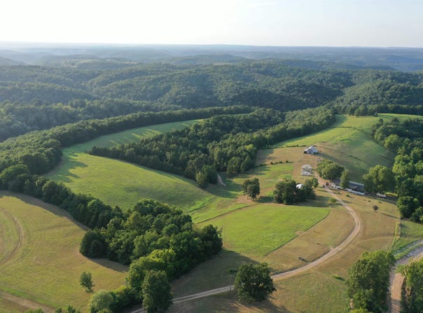 1115 Hillhollow Road, Marshall, AR 72650