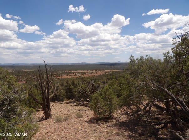0 Bella Vista, Show Low, AZ 85901
