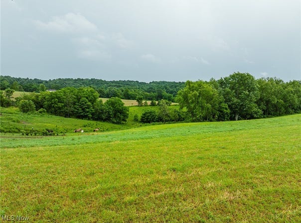 Township Road 219, Fresno, OH 43824
