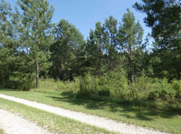 Orchard Lane, Monticello, FL 32344