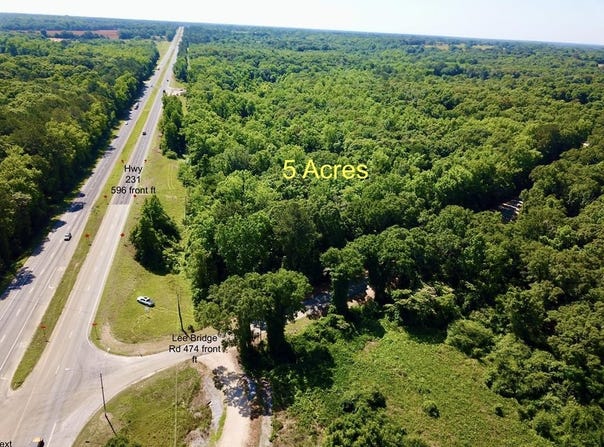 5 Acres Hwy 231, Pinckard, AL 36371