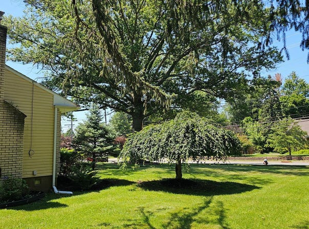 89 UPPER FERRY, EWING, NJ 08628