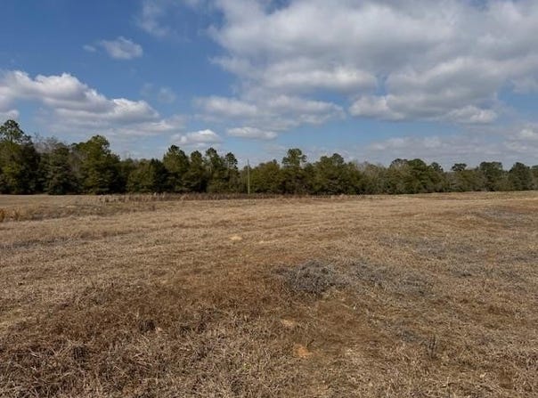County Road 6, Black, AL 36340