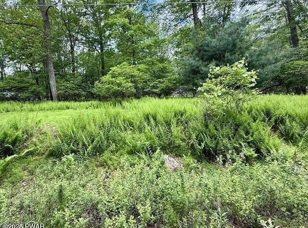 Lot 359 Panda Road, Dingmans Ferry, PA 18328