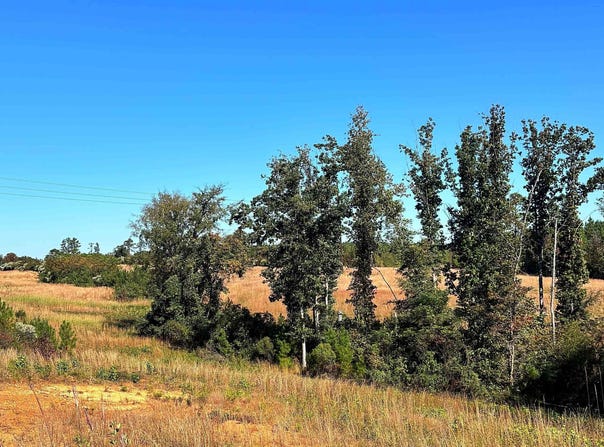 Riverfork Road, Waterloo, SC 29384