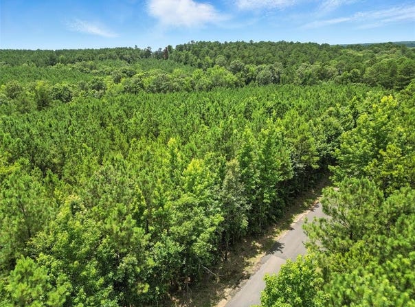 0 Cotton Lane, Minden, LA 71055