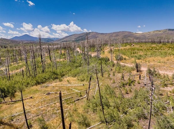 Emery Loop lot: 1626, Fort Garland, CO 81133