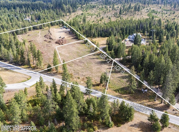 Nka Old Forest Rd- Lot 3, Spirit Lake, ID 83869