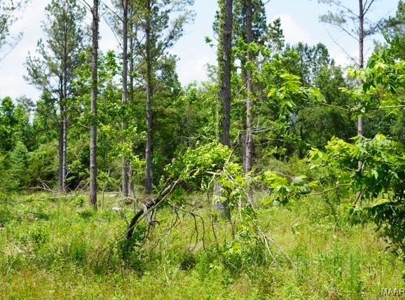 0 Pineapple Highway, Forest Home, AL 36030