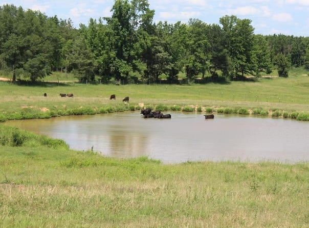 0000 Timberlane Road, Wesson, MS 39191