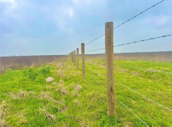Tbd Tract 13 County Road 210, Eagle Lake, TX 77434