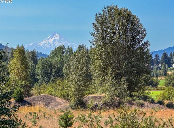 TROUT LAKE HWY, Trout Lake, WA 98650