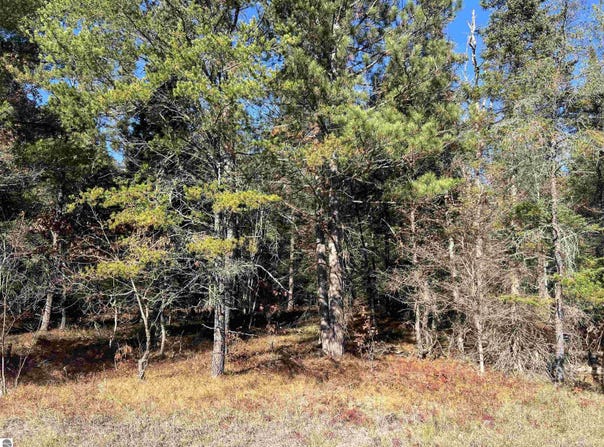 E N Down River Road lot: 363, Grayling, MI 49738