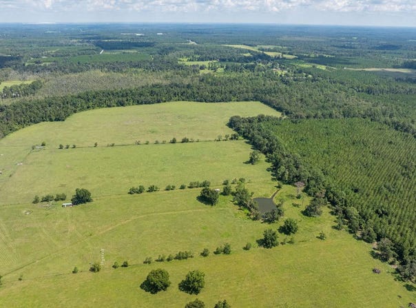 Wellborn, FL 32094
