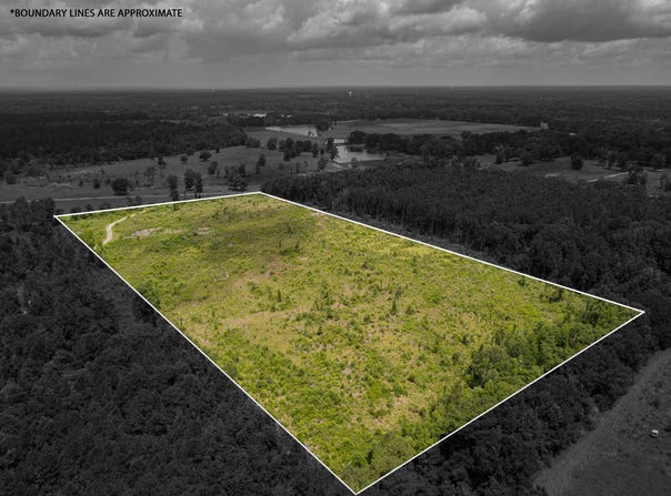 00 Horseshoe Ln., Petal, MS 39465
