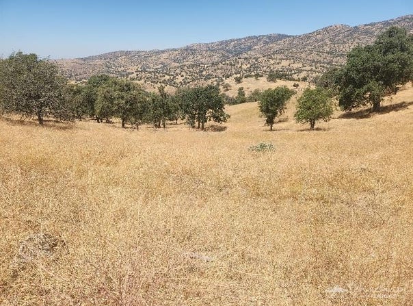 0 Mustang Dr, Tehachapi, CA 93561