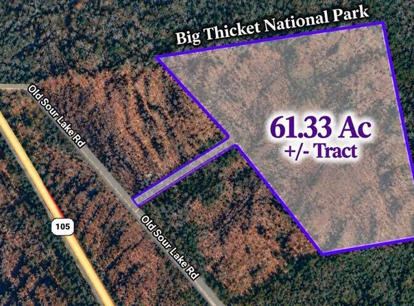 61.33 AC +/- Old Sour Lake Road, Sour Lake, TX 77659