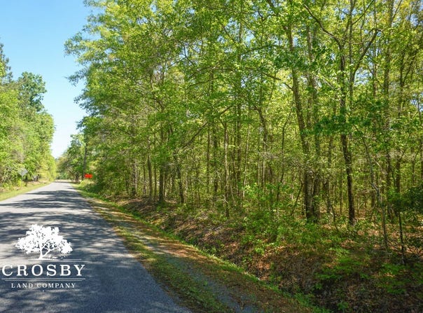 0 Dopson Road, Islandton, SC 29929