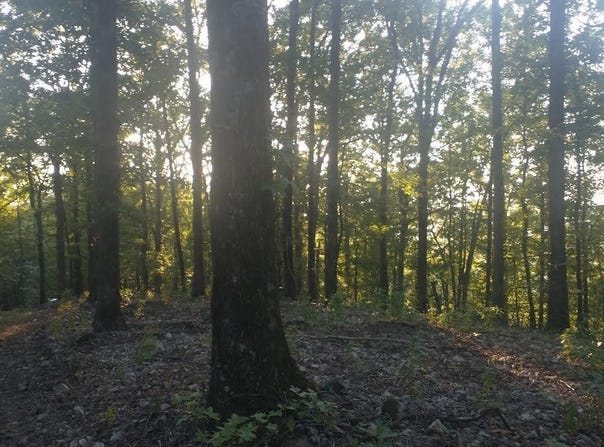 Burnham Mountai E HWY 8 E, Glenwood, AR 71943