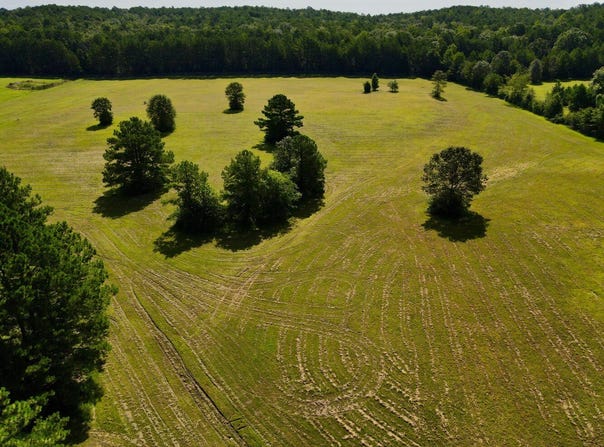 0 Hwy 145, Shelby, AL 35143