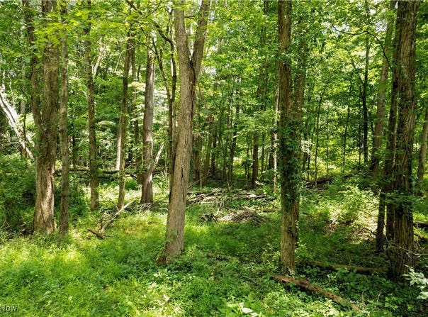 Township Road 1151, Nova, OH 44859