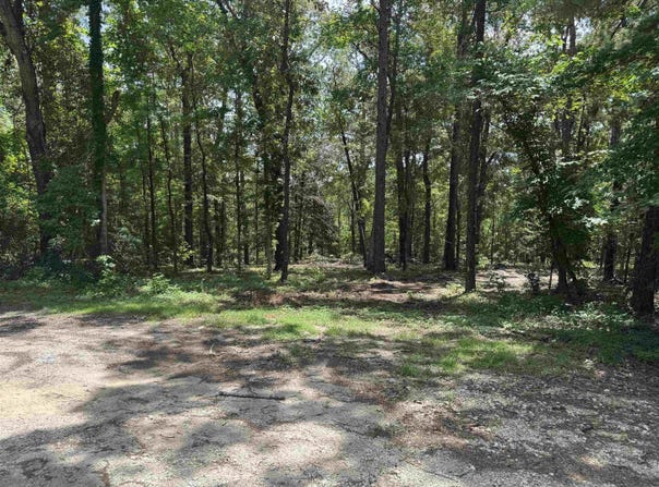 107 Pine High Lane, Brookeland, TX 75931