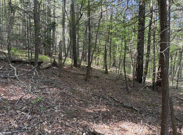 Pocahontas Trail lot: 15, White Sulphur Springs, WV 24986