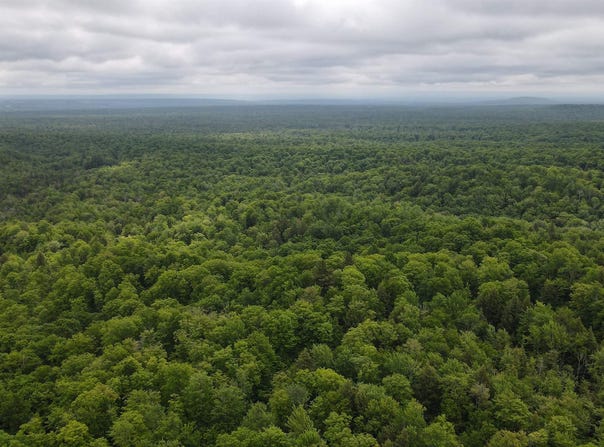 tbd off Donken-Tapiola, Twin Lakes, MI 49958