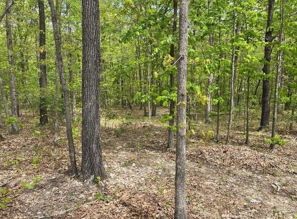 32 BEC LN #32, Bella Vista, AR 72714