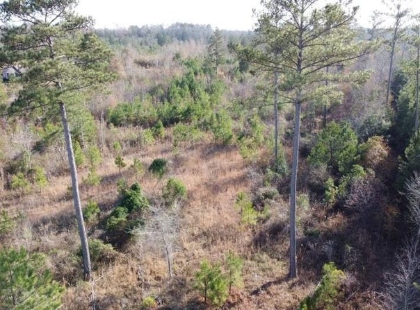 0 Monticello Road, Winnsboro, SC 29180-8308