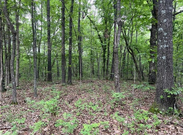 12 Acres on Meadow Creek DR, Harrison, AR 72601