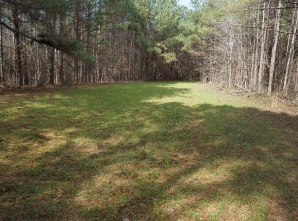 0 Burroughs Road, Greensboro, AL 36744