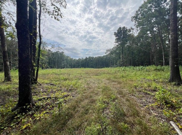 00 Caney Valley Road, Plummerville, AR 72127