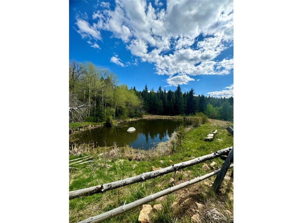 NHN Perkins Gulch Road, Anaconda, MT 59711